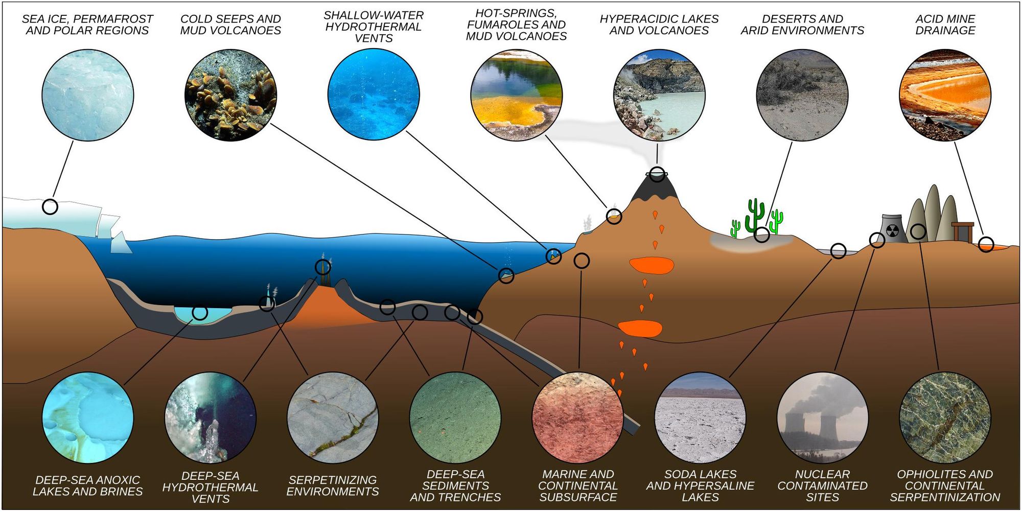 Microorganisms and climate change