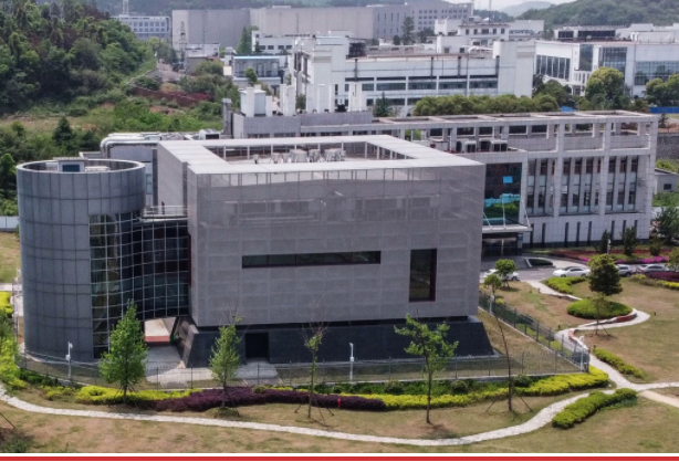 According to the report, the Wuhan Institute of Virology Wuhan Institute of Virology requested "environmental air disinfection system" shortly before the alleged leak date.