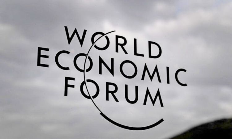 UN, World Economic Forum Behind Global ‘War on Farmers’: Experts