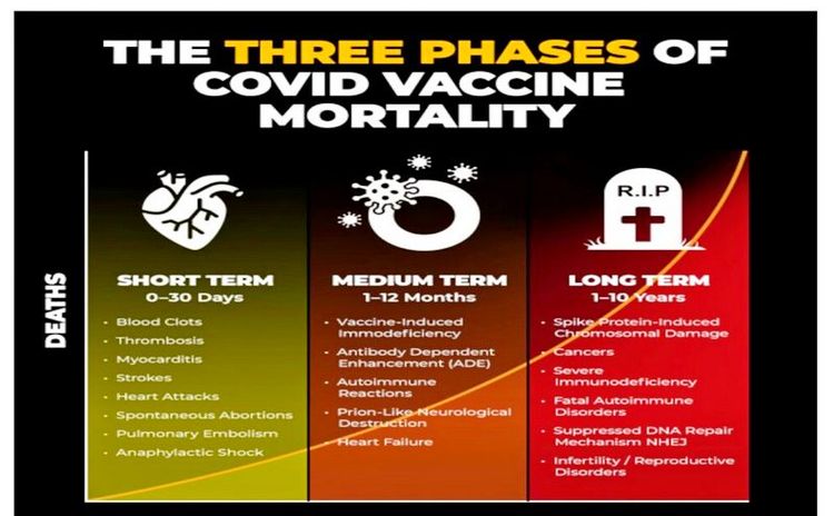 Highly Coordinated Global Conspiracy To Commit Genocide Via Weaponized Covid Injections Exposed