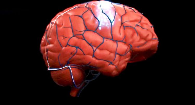 Bill Gates And Jeff Bezos Invest In Brain Computer-Interface Company