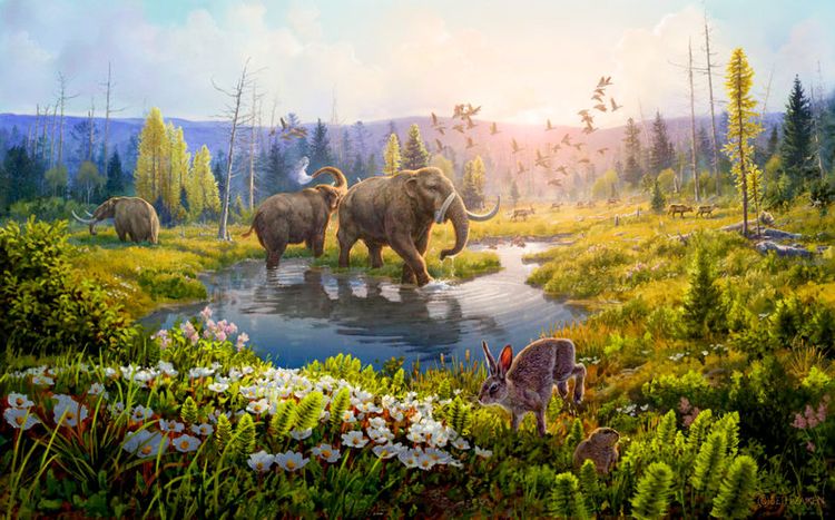 Was it God, the UN, the Government, or the EU that lowered the temperature in Greenland?