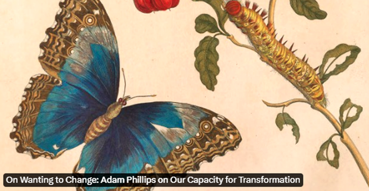 OUR CAPACITY FOR TRANSFORMATION