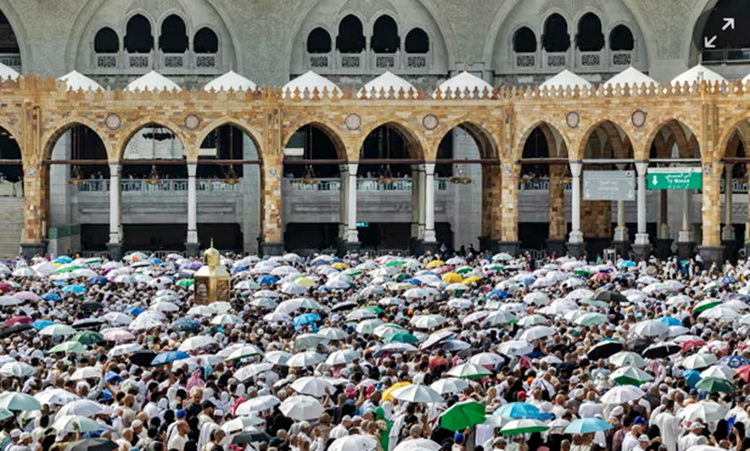 More than 550 hajj pilgrims die in Mecca as the heat exceed 50C