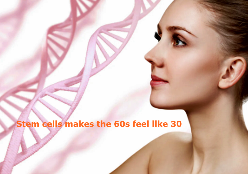 EMBRYONIC STEM CELLS MAKE THE 60s FEEL LIKE 30