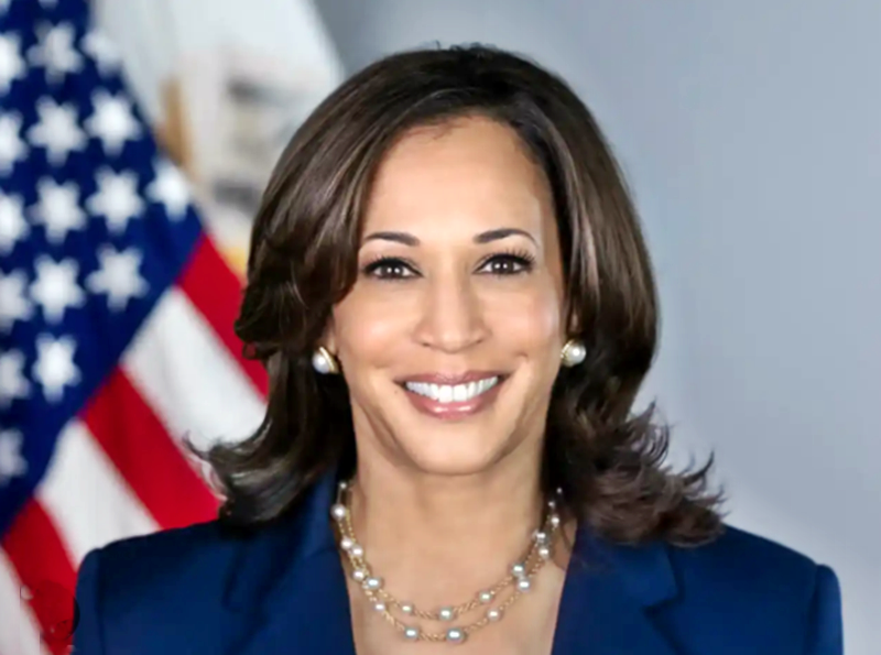 Kamala Harris Background and Experience