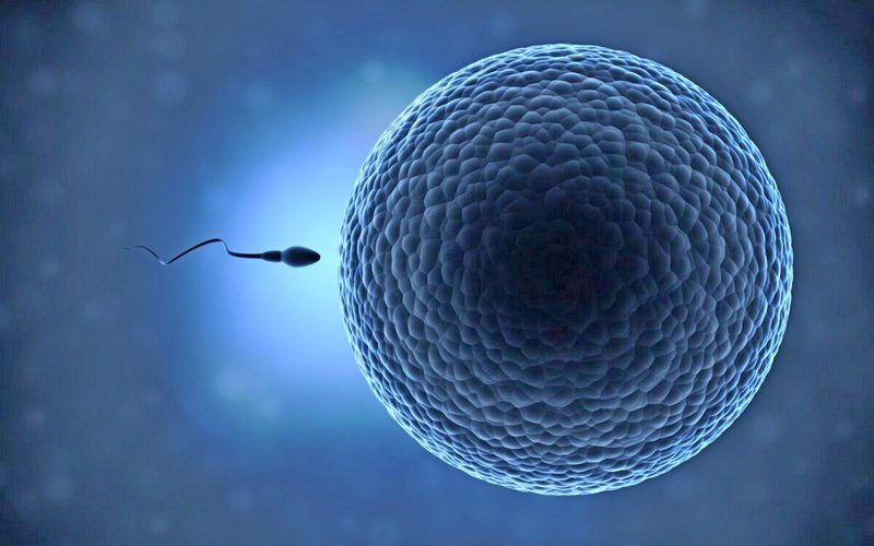 COVID Jabs Impact Both Male and Female Fertility