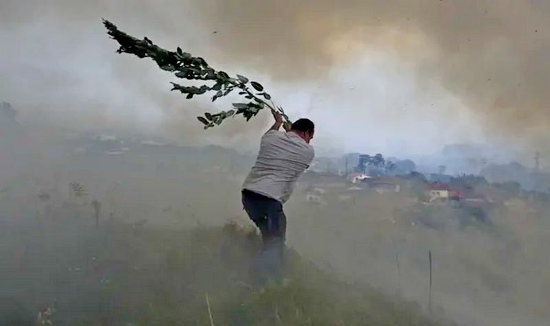 Thousands evacuated as heat causes wildfires in Europe and North Africa