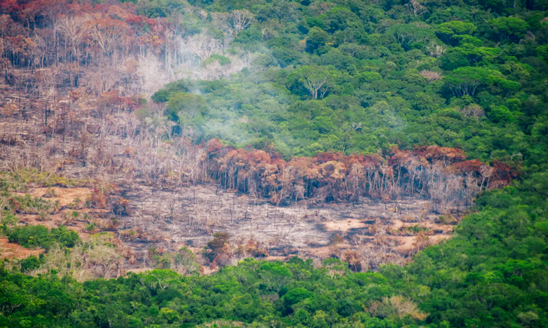 ‘Last-chance saloon’: race to wreck the Amazon as the prospect of Bolsonaro's defeat looms