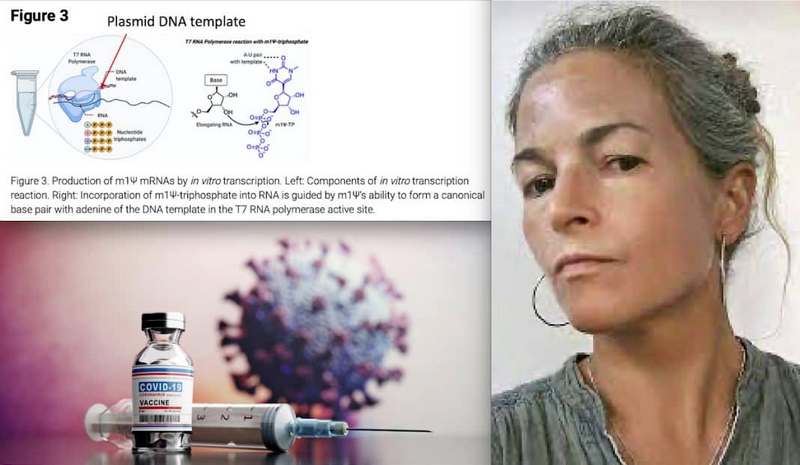 Billions of Dangerous Spike DNA Molecules inside Covid mRNA Vaccines