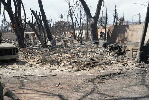 Why Is There Such A Frenzy To Buy Up The Properties That Were Just Burned Down During The Fires In Hawaii?