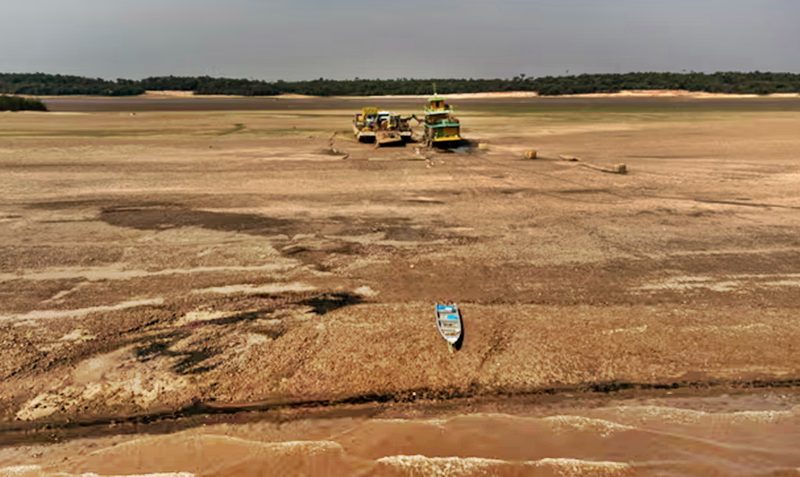 South American monsoon heading towards ‘tipping point’ likely to cause Amazon dieback