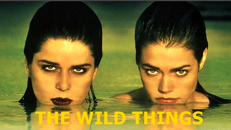 FINAL CONCLUSION TO `WILD THINGS` OF 1998