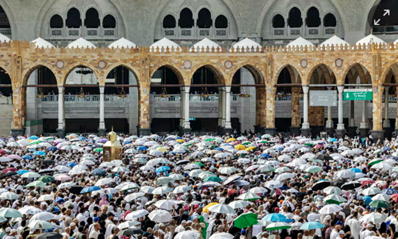 More than 550 hajj pilgrims die in Mecca as the heat exceed 50C