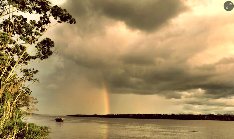 To the end of the Amazon in Brazil: ‘there are forms of life here that I never knew existed’