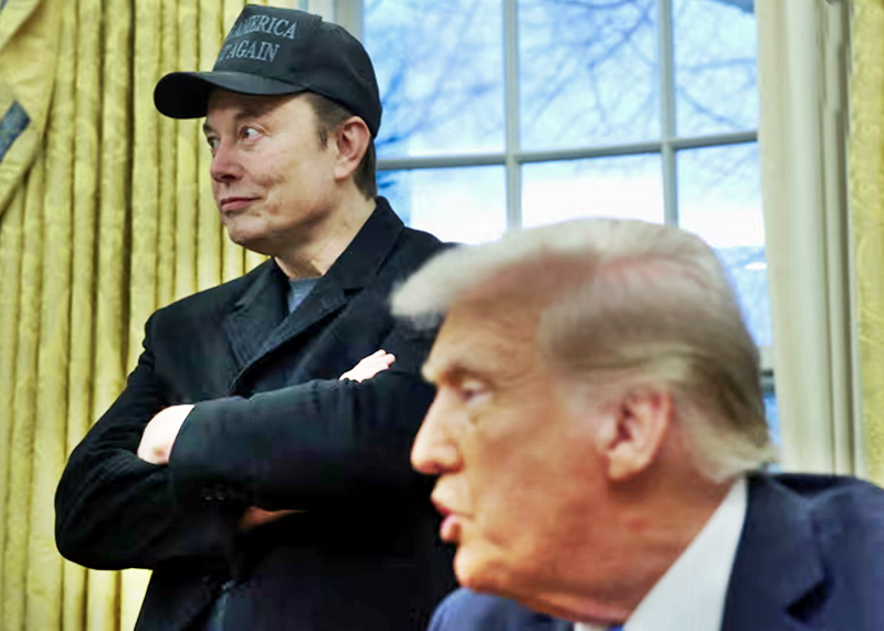 ‘This is a coup’: Trump and Musk’s purge is cutting more than costs, say experts